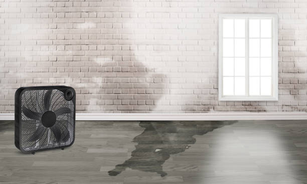 Best Sewage cleanup and water damage restoration  in Barnsdall, OK