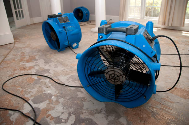 Best 24/7 water damage repair  in Barnsdall, OK